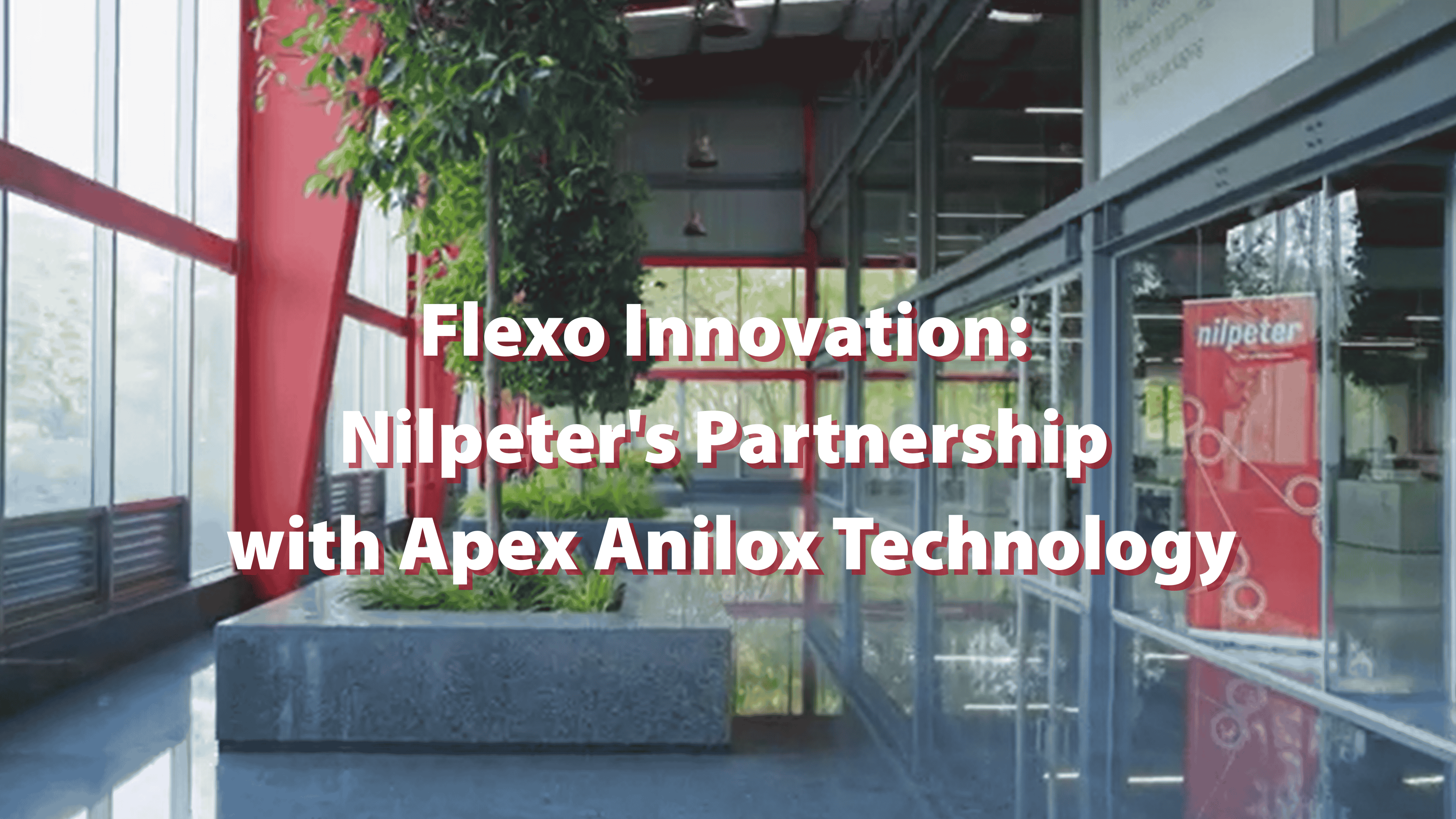 Apex | Academy | Flexo (2)
